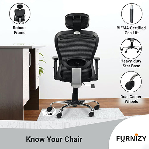 Domin Low Back Support For Office Chair